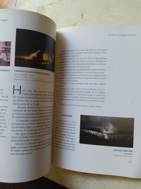 Libro usado en venta: Historia grafica del traje de Emilio Freixas; editorial E. Meseguer impreso en 1962 realizamos envios a todo el mundo.2