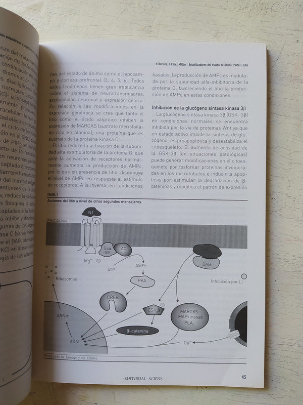 Libro usado en venta: Historia grafica de la moda de Henry Harald Hansen; editorial Juventud impreso en 1959 realizamos envios a todo el mundo.2