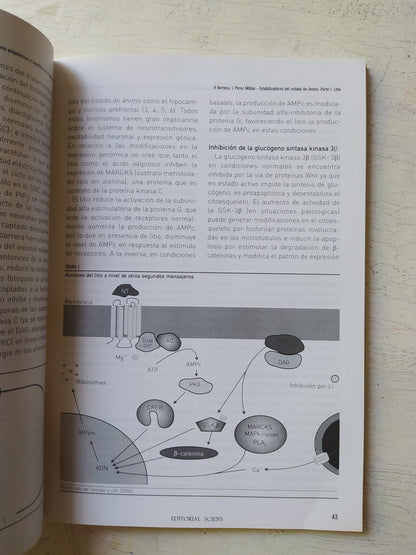 Libro usado en venta: Historia grafica de la moda de Henry Harald Hansen; editorial Juventud impreso en 1959 realizamos envios a todo el mundo.2
