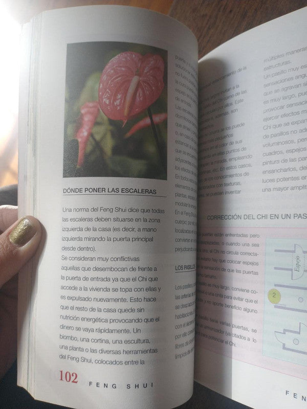 Libro usado en venta: Denke - Pensamientos y aforismos de Friedrich Nietzsche (Federico Nietzsche); editorial Argenta Sarlep envios a todo el mundo.2