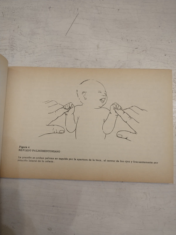 Libro usado en venta: El testamento del llia de Rodolfo H. Terragno; editorial Laser Graphic impreso en 2003 realizamos envios a todo el mundo.2