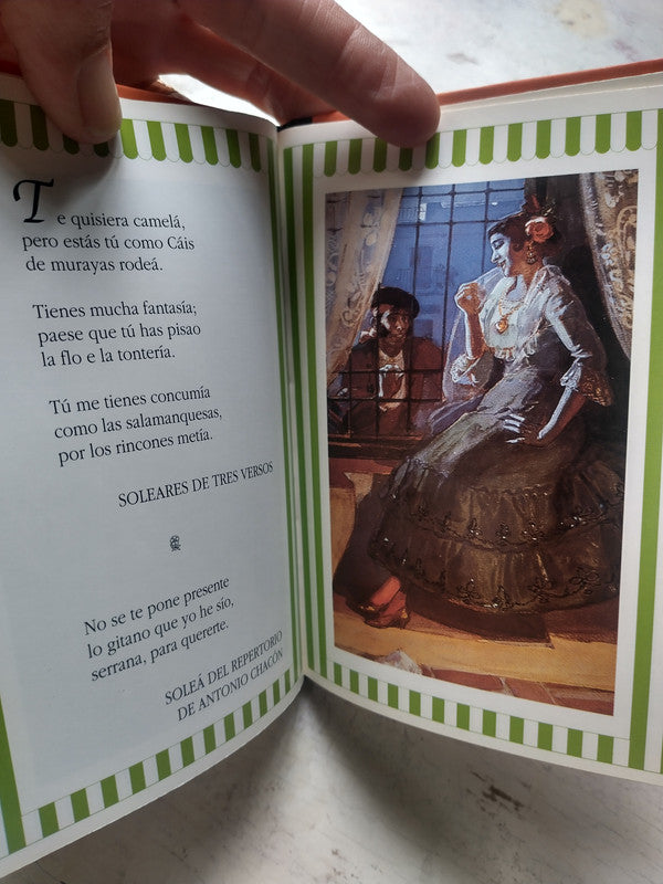 Libro usado en venta: Para los amantes del flamenco; editorial Anaya impreso en 1994 realizamos envios a todo el mundo.3