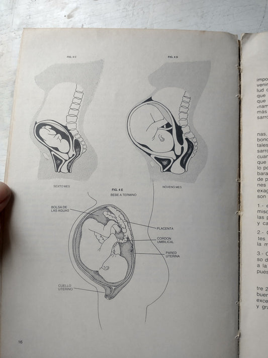 Libro usado en venta: Elementos de trigonometria de Mario Yabra; editorial El coloquio impreso en 1969 realizamos envios a todo el mundo.2