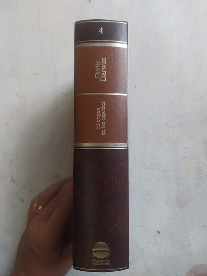 Libro usado en venta: El lenguaje y el entendimiento de Noam Chomsky; editorial Planeta - Agostini impreso en 1992 realizamos envios a todo el mundo.2