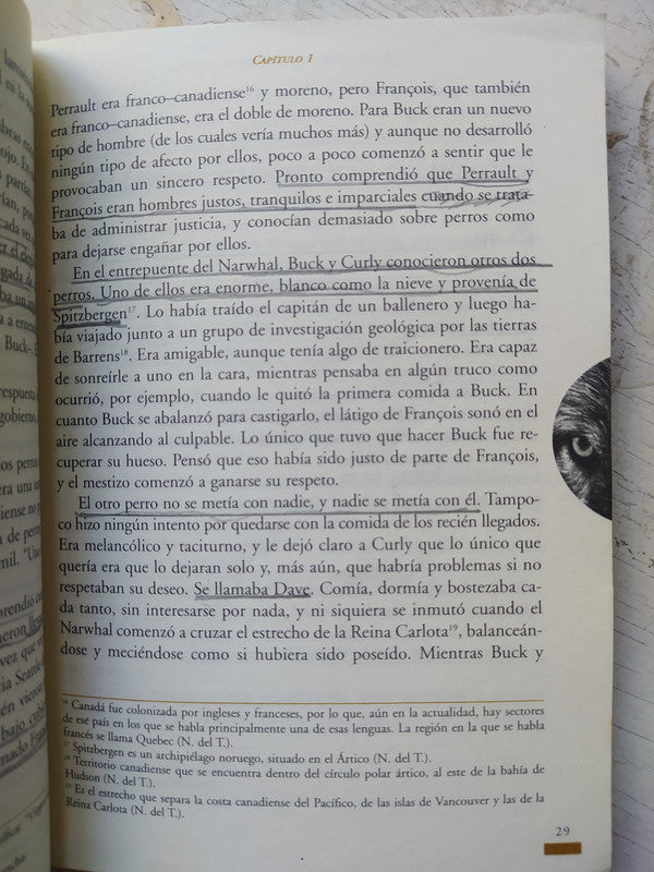 Libro usado en venta: El llamado de lo salvaje de Jack London; editorial Cantaro impreso en 2000 realizamos envios a todo el mundo.2