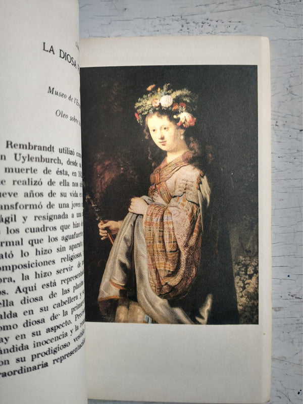 Libro usado en venta: Rembrandt (Rembrandt Harmensz Van Rijn); editorial Timun Mas realizamos envios a todo el mundo.2