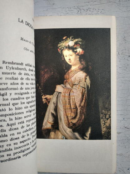 Libro usado en venta: Rembrandt (Rembrandt Harmensz Van Rijn); editorial Timun Mas realizamos envios a todo el mundo.2