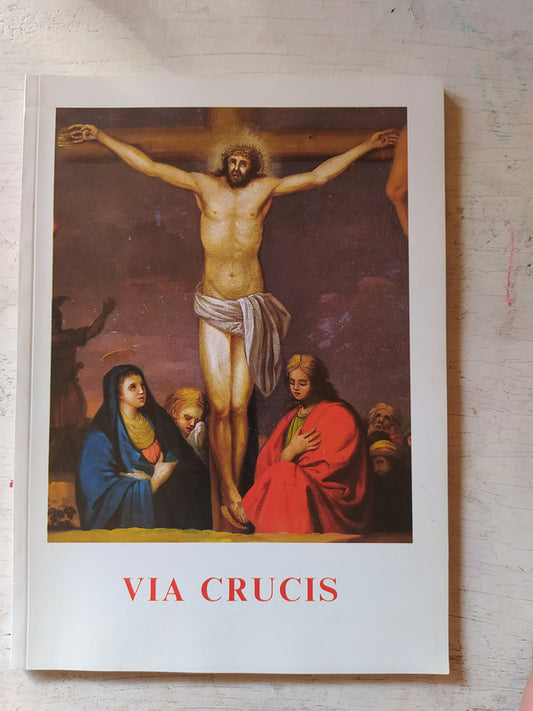 Libro usado en venta: Via Crucis al Colosseo (Ingles/Italiano); editorial Venerdi Santo impreso en 2001 realizamos envios a todo el mundo.1