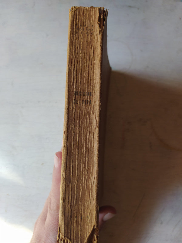 Libro usado en venta: La Madonna del Pilerio de Giacomo Tuoto; editorial Cosenza impreso en 2001 realizamos envios a todo el mundo.2