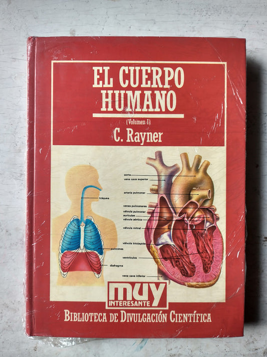 Libro usado en venta: El cuerpo humano de C. Rayner; editorial Hyspamerica impreso en 1985 realizamos envios a todo el mundo.1