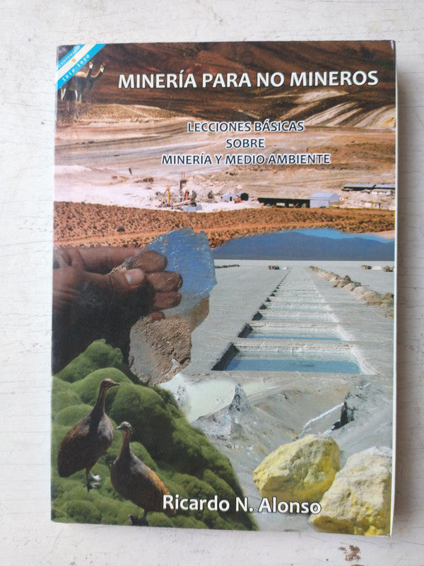Libro usado en venta: Mineria para no mineros de Ricardo N. Alonso; editorial Mundo impreso en 2010 realizamos envios a todo el mundo.1