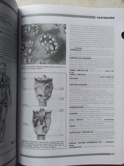 Libro usado en venta: Diccionario de Medicina de Oceano Mosby; editorial Oceano realizamos envios a todo el mundo.2