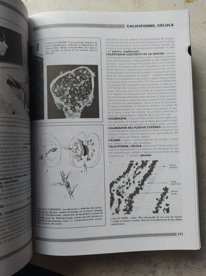 Libro usado en venta: Diccionario de Medicina de Oceano Mosby; editorial Oceano realizamos envios a todo el mundo.3
