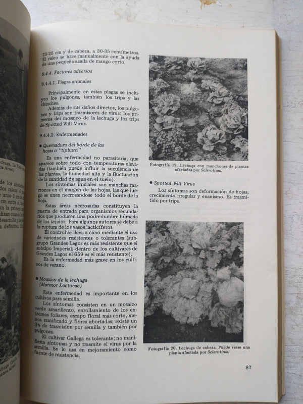 Libro usado en venta: Manual de horticultura de Marta Irene Vigliola; editorial Hemisferio Sur impreso en 1986 realizamos envios a todo el mundo.3