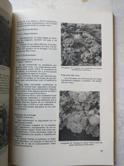 Libro usado en venta: Manual de horticultura de Marta Irene Vigliola; editorial Hemisferio Sur impreso en 1986 realizamos envios a todo el mundo.3