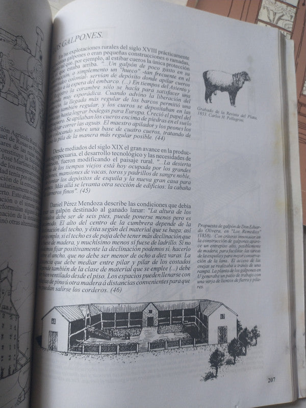 Libro usado en venta: La Biblia - Nuevo testamento (Ilus. G. Dore); editorial Grupo Editorial Tomo impreso en 2002 realizamos envios a todo el mundo.2