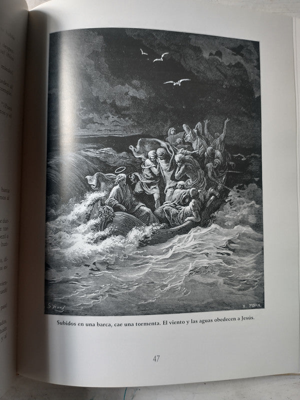 Libro usado en venta: La pintora del amor de Cristina Ruiz; editorial Ediciones del Autor impreso en 2004 realizamos envios a todo el mundo.2
