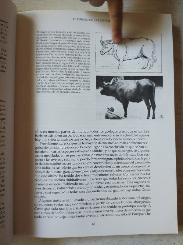 Libro usado en venta: El origen de las especies de Charles Darwin; editorial Del Serbal impreso en 1994 realizamos envios a todo el mundo.3
