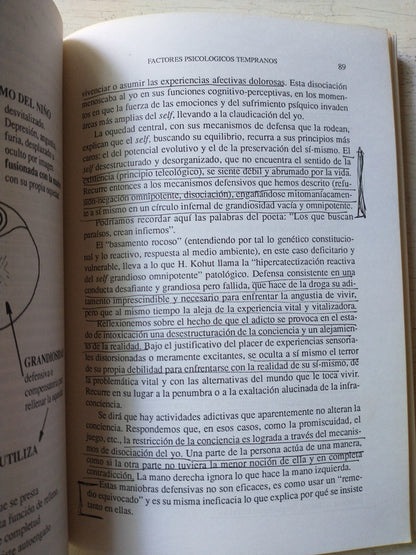 Libro usado en venta: Drogadiccion de Amelia Musacchio De Zan - Alfredo Ortiz Frágola; editorial Paidos impreso en 1996 envios a todo el mundo.2