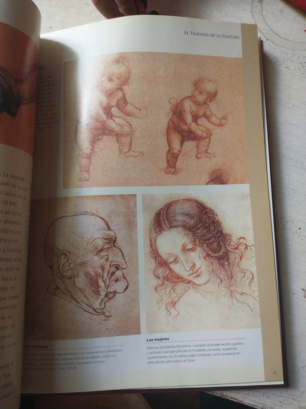 Libro usado en venta: Leonardo Da Vinci - Una mente brillante; editorial La Nacion impreso en 2008 realizamos envios a todo el mundo.3