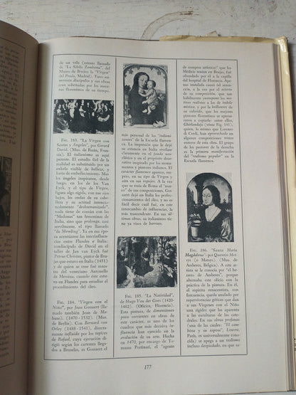 Libro usado en venta: Historia grafica del arte Occidental de Margarita Nelken; editorial Poseidon impreso en 1953 realizamos envios a todo el mundo.3