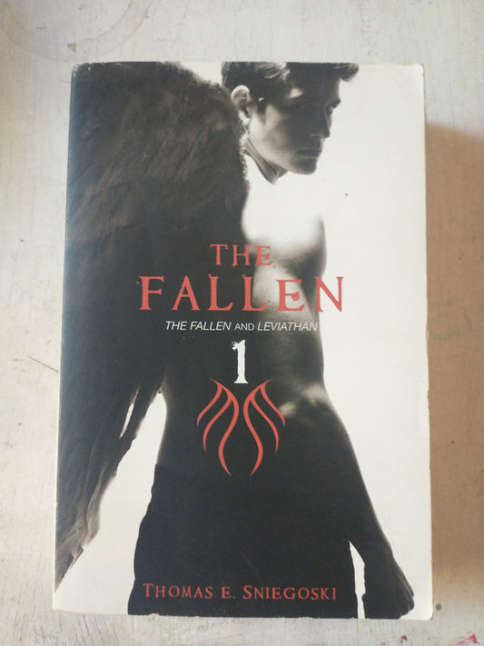 Libro usado en venta: The Fallen 1 de Thomas E. Sniegoski; editorial Simon & Schuster impreso en 2010 realizamos envios a todo el mundo.1