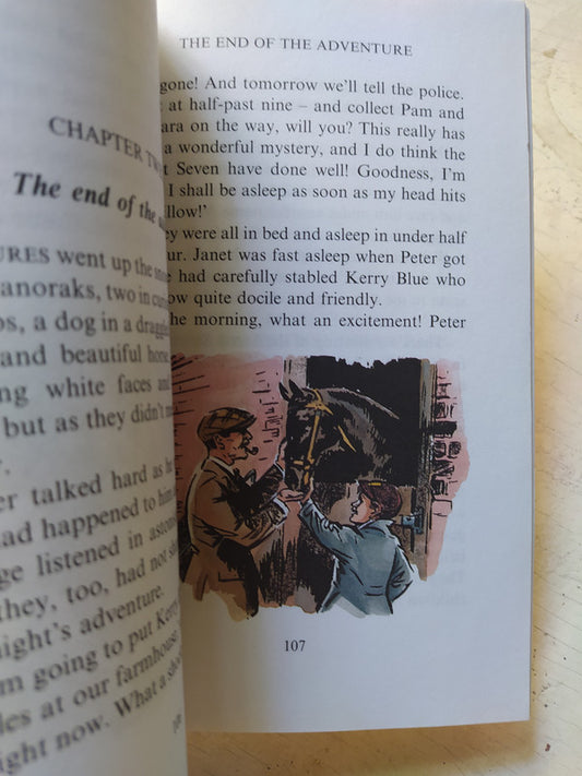 Libro usado en venta: The famous five - Five go off in a caravan de Enid Blyton; editorial Hodder impreso en 1997 realizamos envios a todo el mundo.2