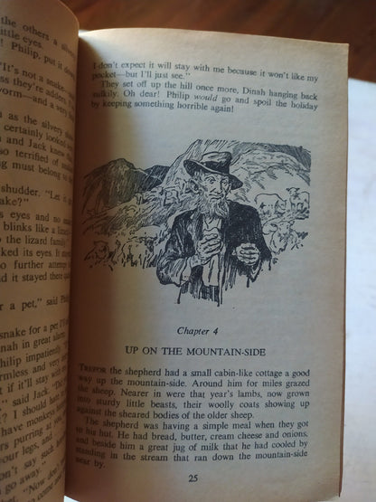 Libro usado en venta: Into the wind - Contemporary stories in English de Barrie Wade; editorial Nelson impreso en 1990 envios a todo el mundo.2