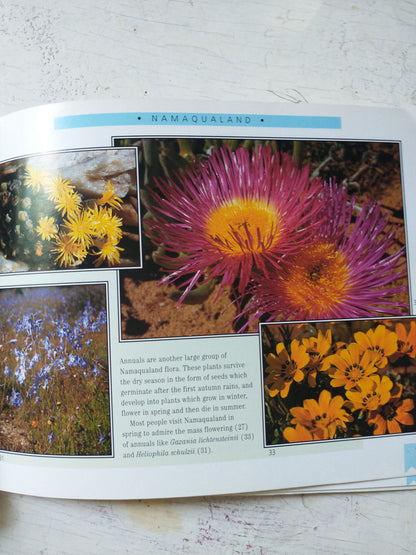 Libro usado en venta: Wild flowers of Southern Africa de Indaba Mini-Curio; editorial Struik Publishers impreso en 1998 envios a todo el mundo.3