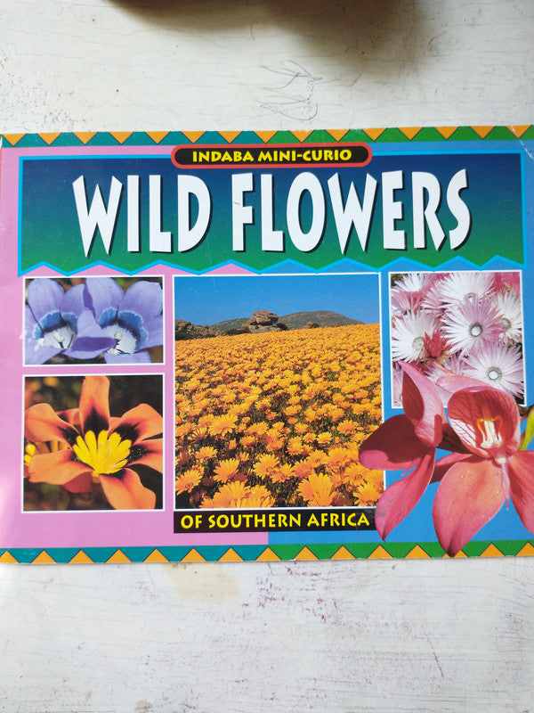 Libro usado en venta: Wild flowers of Southern Africa de Indaba Mini-Curio; editorial Struik Publishers impreso en 1998 envios a todo el mundo.1