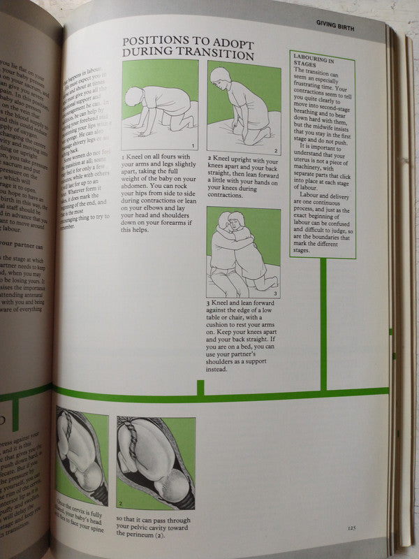 Libro usado en venta: The complete handbook of pregnancy de Wendy Rose-Neil; editorial Sphere Books impreso en 1984 realizamos envios a todo el mundo.3