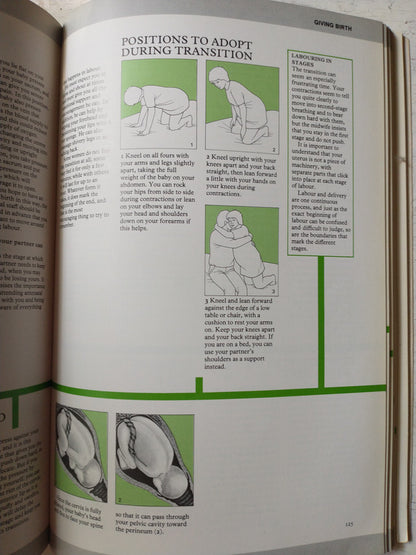 Libro usado en venta: The complete handbook of pregnancy de Wendy Rose-Neil; editorial Sphere Books impreso en 1984 realizamos envios a todo el mundo.3