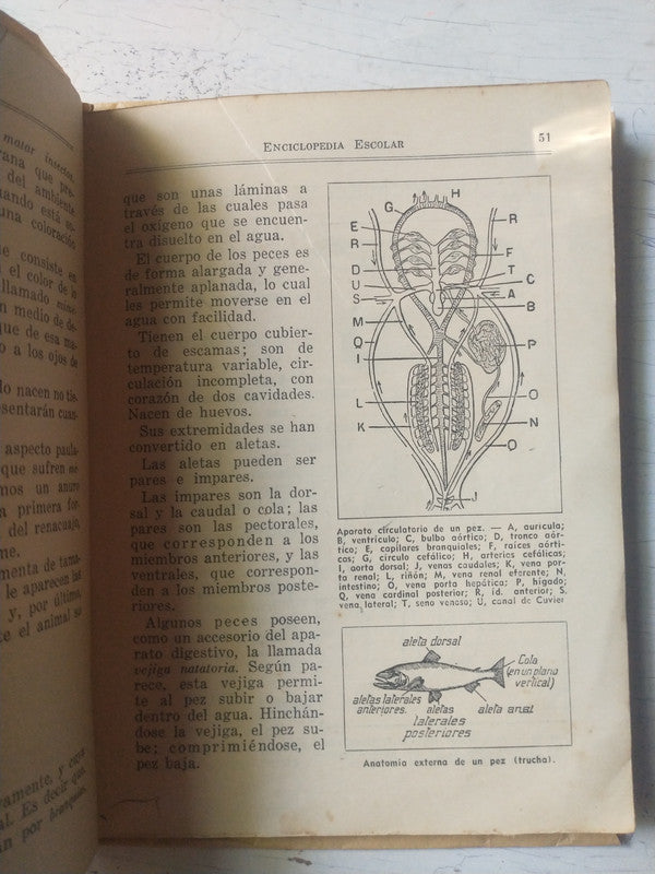 Libro usado en venta: Peque?a historia patagonica de Armando Braun Menendez; editorial Emece impreso en 1946 realizamos envios a todo el mundo.2