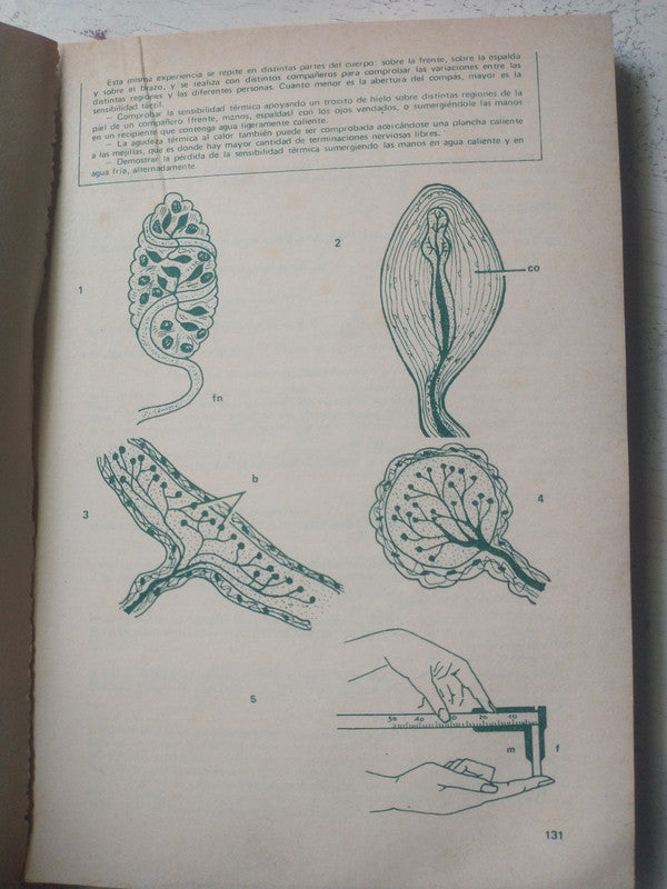 Libro usado en venta: Los bufones de Dios de Morris West; editorial Javier Vergara impreso en 1981 realizamos envios a todo el mundo.2