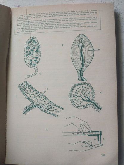 Libro usado en venta: Los bufones de Dios de Morris West; editorial Javier Vergara impreso en 1981 realizamos envios a todo el mundo.2