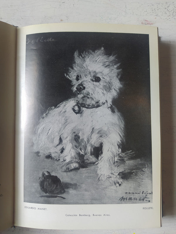 Libro usado en venta: Historia de los pintores impresionistas de Theodore Duret; editorial El Ateneo impreso en 1953 realizamos envios a todo el mundo.3