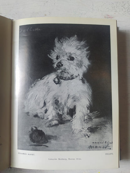 Libro usado en venta: Historia de los pintores impresionistas de Theodore Duret; editorial El Ateneo impreso en 1953 realizamos envios a todo el mundo.3