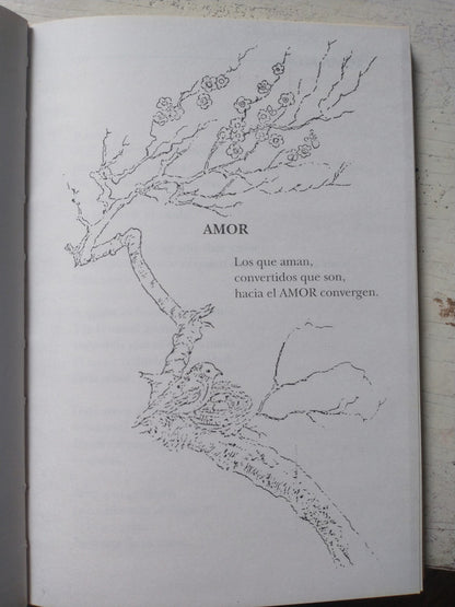 Libro usado en venta: Cancion universal de Jose Hermogenes; editorial Errepar impreso en 1994 realizamos envios a todo el mundo.2