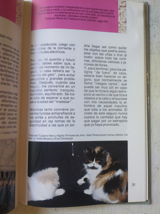 Libro usado en venta: Los amores dificiles de Italo Calvino; editorial Tusquets impreso en 1999 realizamos envios a todo el mundo.2