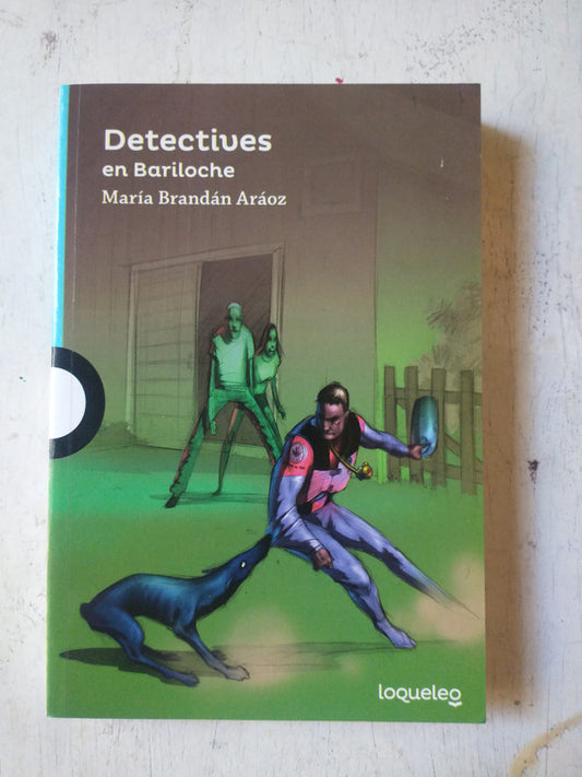 Libro usado en venta: Detectives en Bariloche de Maria Brandan Araoz; editorial Santillana impreso en 2017 realizamos envios a todo el mundo.1