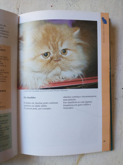 Libro usado en venta: Viver com o Gato, O que precisa saber de Michele Ferme-Fradin; editorial De Vecchi impreso en 2003 envios a todo el mundo.3