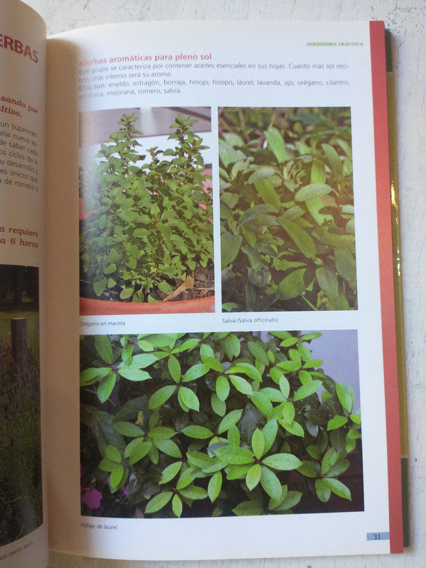 Libro usado en venta: Automoviles Torino - Modelos 300 - 380 y 380 W de J. Fernandez Pinto; editorial Caymi impreso en 1993 envios a todo el mundo.2