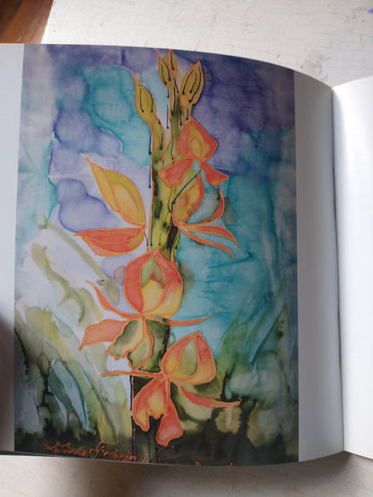 Libro usado en venta: Naturaleza y arte en Santiago y Tucavaca; editorial EL PAIS impreso en 2011 realizamos envios a todo el mundo.3