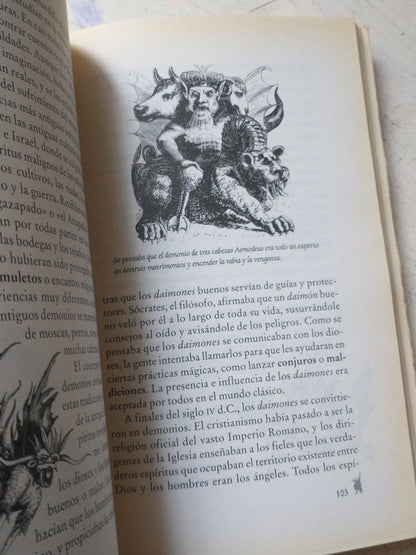 Libro usado en venta: El diccionario del mago de Allan Zola Kronzek - Elizabeth Kronzek; editorial Ediciones B impreso en 2002 envios a todo el mundo.4
