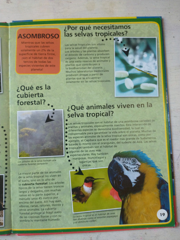 Libro usado en venta: El arbol del conocimiento de Maturana - Varela; editorial Universitaria impreso en 1984.2
