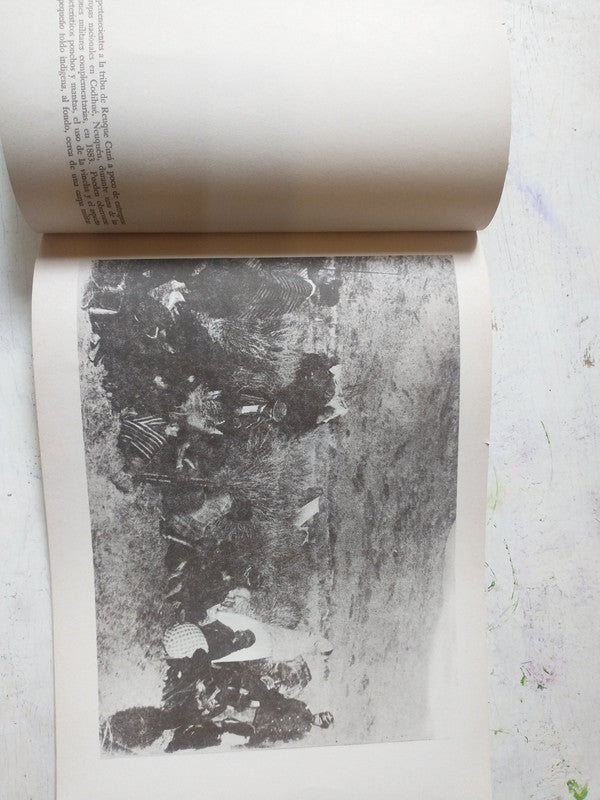 Libro usado en venta: Campa?a del desierto (1878-1884); editorial Ministerio del interior impreso en 1969 realizamos envios a todo el mundo.2