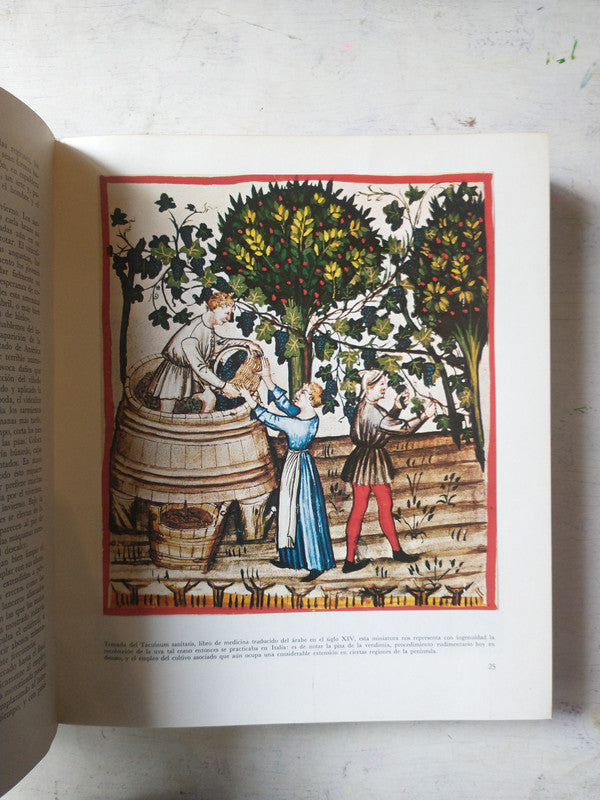 Libro usado en venta: El gran libro del vino de Joseph Jobe; editorial Blume impreso en 1973 realizamos envios a todo el mundo.4