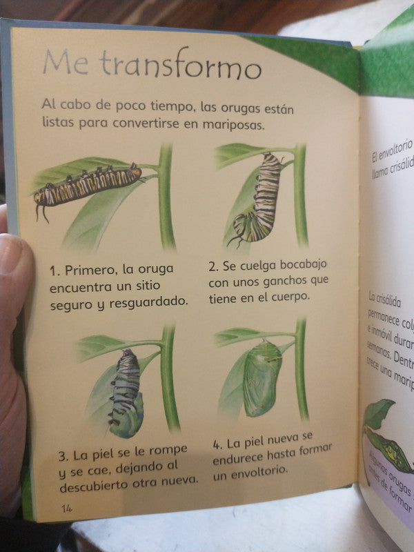 Libro usado en venta: Orugas y mariposas de Stephanie Turbull; editorial Usborne impreso en 2007 realizamos envios a todo el mundo.3