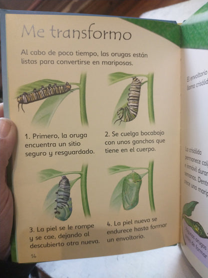 Libro usado en venta: Orugas y mariposas de Stephanie Turbull; editorial Usborne impreso en 2007 realizamos envios a todo el mundo.3