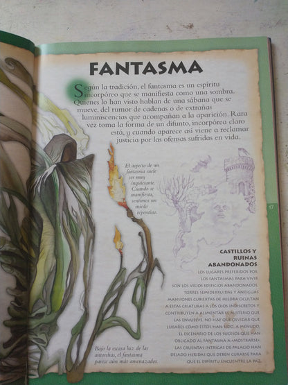 Libro usado en venta: Robin Hood; editorial Sigmar impreso en 1968 realizamos envios a todo el mundo.2